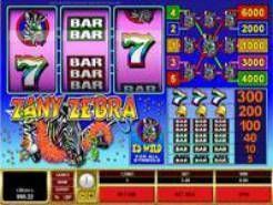 Zany Zebra Slots